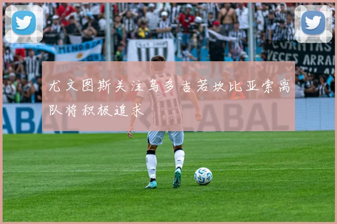 尤文图斯关注乌多吉若坎比亚索离队将积极追求